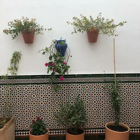 Ch Ii Zona De Ocio Nocturno * Conil De La Frontera