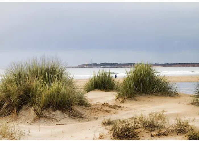 Ch Ii Zona De Ocio Nocturno Appartamento *