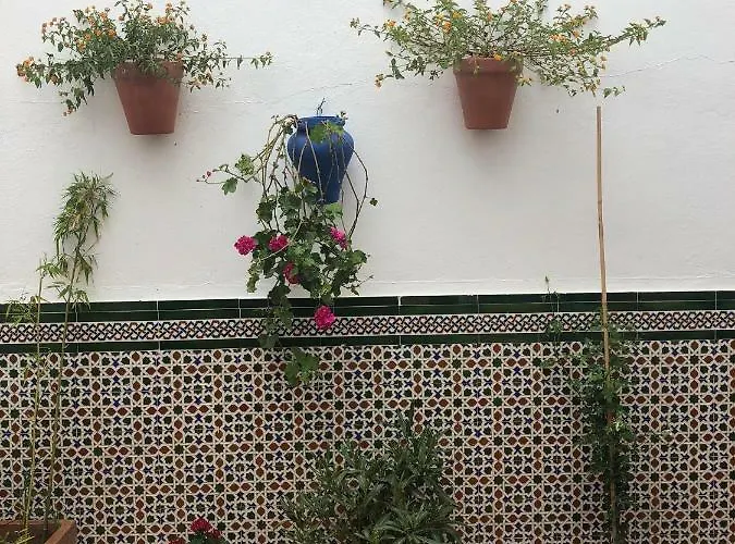 Ch Ii Zona De Ocio Nocturno * 콘일데라프론테라