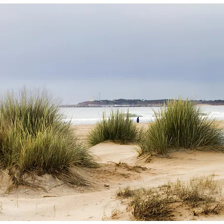 Ch Ii Zona De Ocio Nocturno 公寓 *